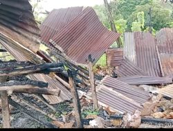 Jamal benih benih Mafia tanah di Kecamatan Panca Lautang Desa Corawali