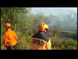 Waspada Dampak El Nino Dari Kebakaran Hingga Kekeringan