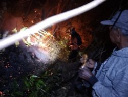 Tim Reaksi Cepat BPBD Sidrap Padamkan Kebakaran Lahan di Arawa