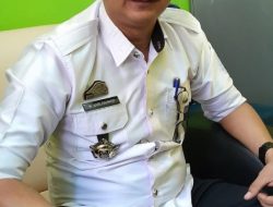 Dinas Pertanian Enrekang Memberikan Bantuan Bibit Sayur KWT Dusun Kab Enrekang
