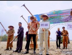 Syukuran turun sawah hasil musyawarah Mappalili musim tanam 2023/2024 dan musim tanam 2024 tingkat Kecamatan Balusu