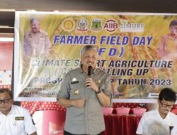 Bupati Pinrang hadiri Farmer Field Day di desa Pananrang