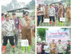 PJ Gubernur SulSel Melakukan Panen Bawang Merah di Marena Desa Pekalobean