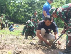 Kodim 1419 Enrekang Gelar Penghijauan dengan Menanam Ratusan Bibit Pohon