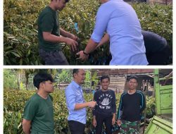 Andi Ian Latanro Memberikan Bantuan 12 Bibit Durian Musang King Kepada Warga Enrekang