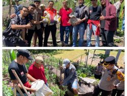 Kapolres Enrekang Mendatangai TKP Ditemukannya Tanaman Ganja Di Dusun Data Enrekang