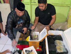 Reserse Narkoba Polres Barru Berhasil Amankan Sabu-sabu 30 Kilogram
