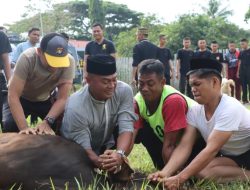 Hewan Qurban Dihari Raya Idul Adha 1445 H Kabupaten Polman Sebanyak 1342 ekor