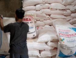 Kementan Tetap Berkomitmen Memperbaiki Tata Kelola  Penyaluran Pupuk Subsidi