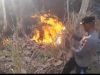Polisi dan Tim Gabungan Bergerak Cepat Tangani Karhutla di Gunung Batu Kappo