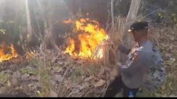 Polisi dan Tim Gabungan Bergerak Cepat Tangani Karhutla di Gunung Batu Kappo
