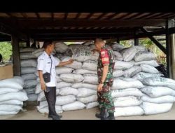 Babinsa desa damai,Sertu darwis aktif dampingi dan udekasi petani tentang pupum bersubsidi