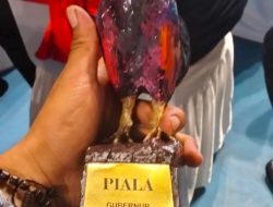 Sidrap Juara Umum Kontes Ayam Ketawa Gubernur Cup 2023