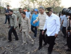 Berkunjung ke Sidrap, Pj Gubernur Sulsel Harap Lahan Kosong Ditanami Pisang