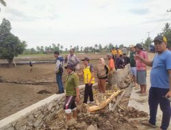 Pasca Banjir,Bupati Soppeng terjun Langsung Normalisasi Lahan Persawahan dan Irigasi