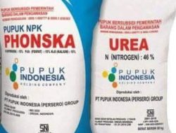 Penyaluran Pupuk Bersubsidi Tepat Waktu,Presiden RI  Mengapresiasi Menteri Pertanian