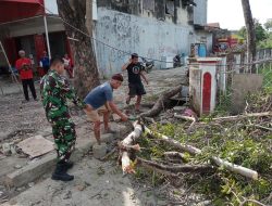 Babinsa Koramil 1420-05/Dua Pitue Bersama Warga Bersihkan pohon yang menghalangi jalan