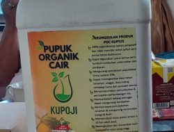POC Kupoji – Rahasia Panen Melimpah Dan Ternak Sehat, Produk Asli Sulsel