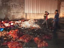 Damkar Polman Gerak Cepat Atasi Kebakaran Kopra di Wonomulyo