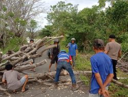 Bhabinkamtibmas dan Warga Bersihkan Pohon Tumbang yang Halangi Akses Jalan di Bacukiki Parepare