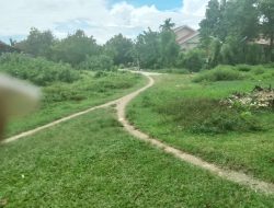 Setelah Kepemimpinan S Mengga Di Polmas,Persiapan Jalan Jalur 2 Kiri-Kiri,Kelurahan Darma Terabaikan
