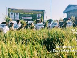 Distanpan Polman Peringati Hari  Tani Nasional,Ajak Petani Tingkatkan Produktivitas Dan Ketahanan Pangan. 