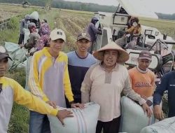 Produksi Meningkat, Stok Beras Berlimpah, Litbang Kompas: Masyarakat Puas dengan Kinerja Kementan