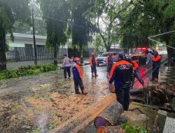 Personil Polsek KPN Bantu Bersihkan Pohon Tumbang di Depan Kantor KPPN Parepare
