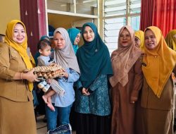 Dukung Percepatan Penurunan Stunting,Ketua TP PKK Polman Salurkan Bantuan Gizi Balita Di Campalagian