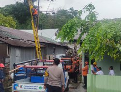 Pohon Tumbang Akibat Petir, Polisi Amankan Proses Evakuasi di Parepare
