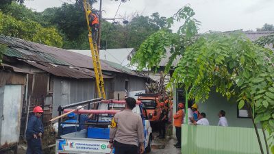 Pohon Tumbang Akibat Petir, Polisi Amankan Proses Evakuasi di Parepare