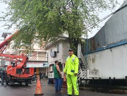 Antisipasi Pohon Tumbang dan Laka Lantas, Bhabinkamtibmas Dampingi Petugas DLH