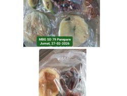 MBG Adalah Program Gizi Nasional Menjadi Ilusi Kesejahteraan Nutrisi