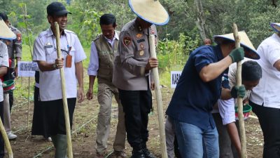 Target Produksi jagung di 2026, Saat ini Polda Sulsel Sudah Menanam Jagung di Lahan 812 Hektar