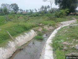Proyek Irigasi Lanrae di Barru Disorot, Masyarakat Pertanyakan Transparansi