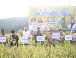 Wakapolres Parepare Hadiri Panen Raya di Bacukiki, Tegaskan Dukungan untuk Ketahanan Pangan