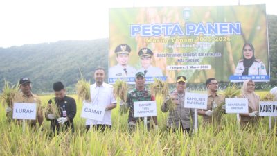 Wakapolres Parepare Hadiri Panen Raya di Bacukiki, Tegaskan Dukungan untuk Ketahanan Pangan