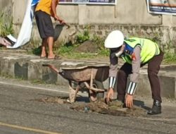 Polisi di Parepare Tutup Jalan Berlubang, Demi Keselamatan Pengendara