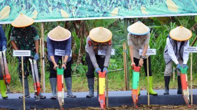 Kapolda Sulsel Hadiri Penanaman Jagung Serentak Kuartal I 2026 di Maros, Dukung Program Swasembada Pangan Nasional