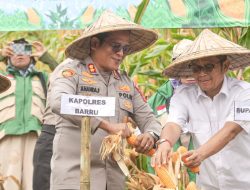 Polres Barru Gelar Panen Raya Jagung Serentak  Kuartal II Tahun 2026