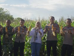 Polres Parepare Ikuti Panen Raya Jagung Nasional Secara Daring, Presiden Prabowo Apresiasi Inovasi Ketahanan Pangan Polri