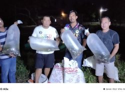 YWBL Community Tebar 3.500 Bibit Ikan Nila, Dukung Pengembangan Sektor Perikanan di Barru
