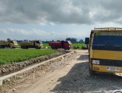 Percepatan Terus Digenjot, Armada Truk Tak Henti Suplai Timbunan ke Lokasi TMMD Ke-129 Kodim 1404/Pinrang
