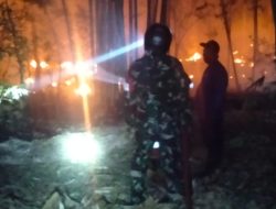 Respon Cepat Babinsa Koramil 1404-01/Suppa Berhasil Cegah Kebakaran Lahan Meluas di Karaballo