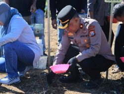 Polres Barru Dukung Program Penangkaran Benih Jagung JJUH, Wujud Sinergi Ketahanan Pangan Nasional