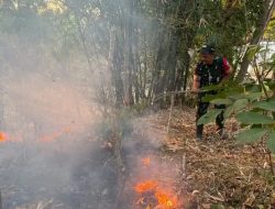 Sinergi Manggala Agni dan TNI Padamkan Api di Parangloe Gowa