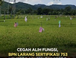 753 Hektare Sawah Parepare Dilindungi, Jangan Biarkan Perlindungan Hanya Jadi Tulisan di Atas Kertas