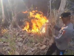 Polisi dan Tim Gabungan Bergerak Cepat Tangani Karhutla di Gunung Batu Kappo