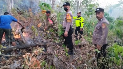 Polsek Barru Bersama TNI dan Warga Padamkan Kebakaran Lahan Perkebunan Seluas 20 Hektare di Tompo
