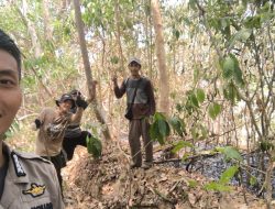 RESPONS CEPAT BHABINKAMTIBMAS POLSEK TANETE RIAJA BERSAMA WARGA PADAMKAN KEBAKARAN LAHAN PERKEBUNAN SELUAS 1 HEKTARE DI BARRU